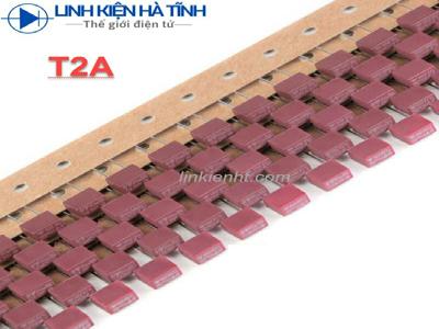 Cầu chì vuông 250V cầu chì T2A 2A Cầu chì vuông 250V cầu chì T2A 2A